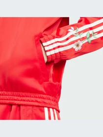 Худи и свитшоты Adidas Graphics модель IS2429-KZ Фото