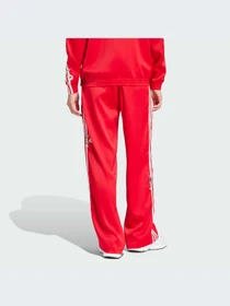 Брюки Adidas Graphics модель IS2430-KZ Фото