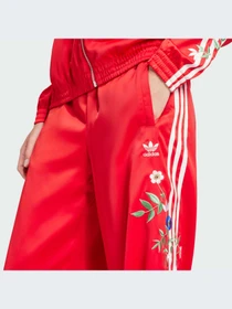 Брюки Adidas Graphics модель IS2430-KZ Фото