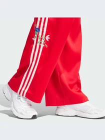 Брюки Adidas Graphics модель IS2430-KZ Фото