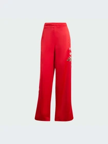 Брюки Adidas Graphics модель IS2430-KZ Фото