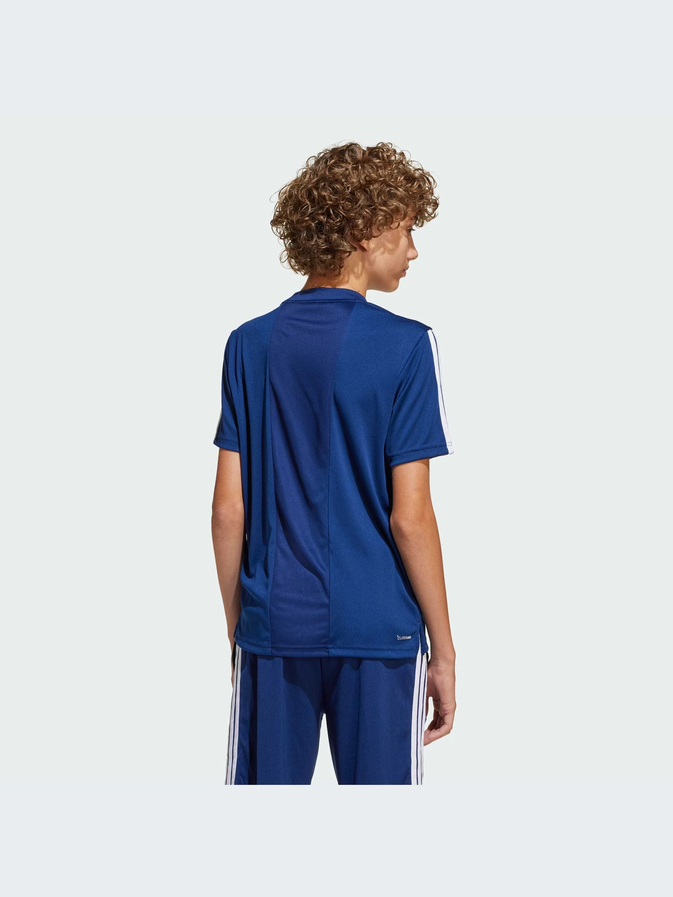 Футболки и поло Adidas Clima модель JJ1035-KZ Футболки и поло Adidas Clima модель JJ1035-KZ Фото