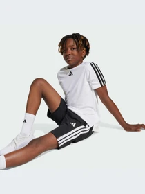 Шорты Adidas Clima модель JJ1038-KZ Фото