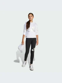 Худи и свитшоты Adidas модель JC7504-KZ Фото