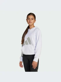Худи и свитшоты Adidas модель JC7504-KZ Фото