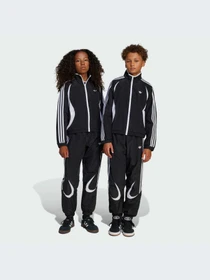 Брюки Adidas Adicolor модель JC9135-KZ Фото