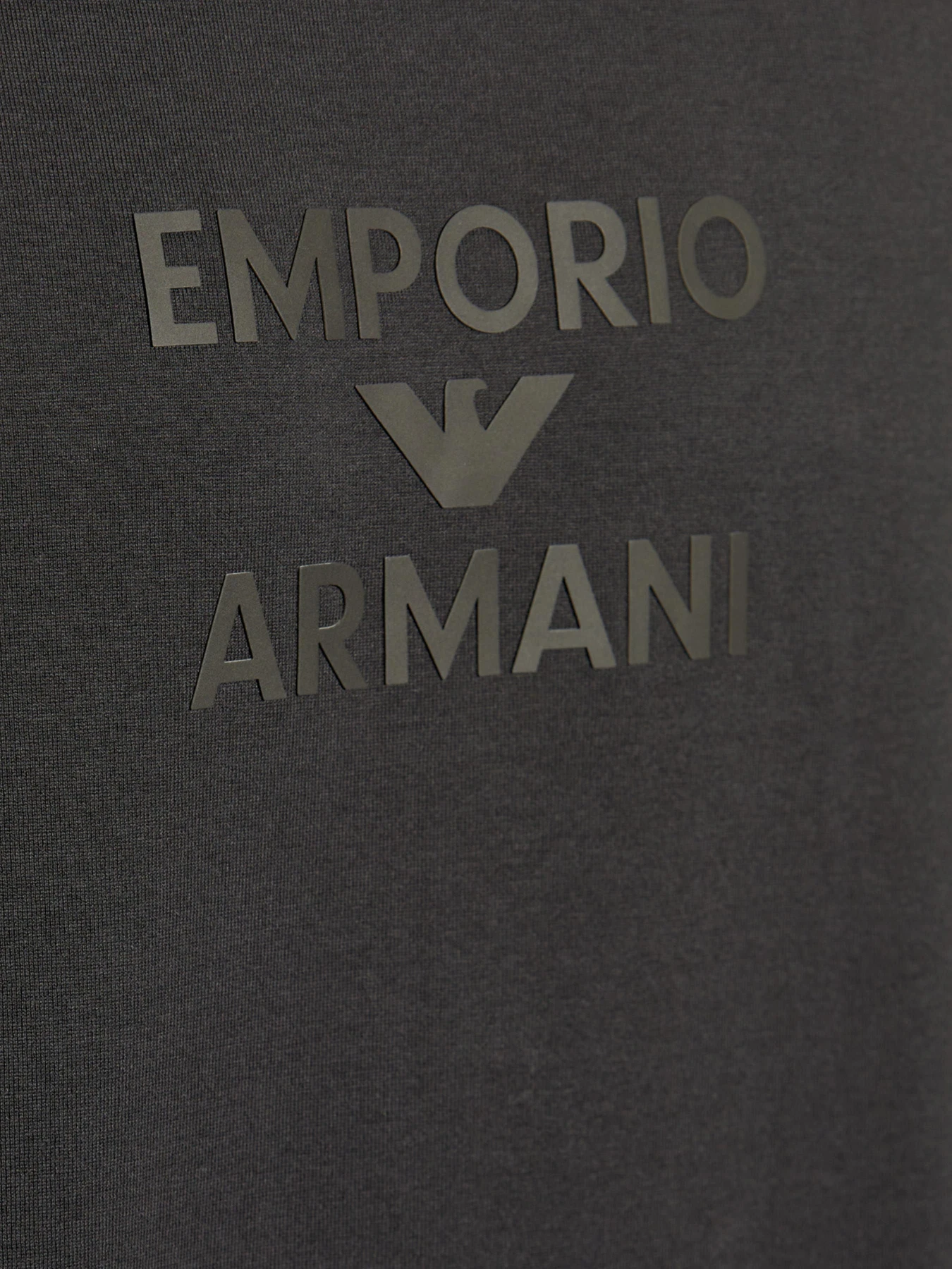 Футболки и поло Emporio Armani модель EM000780-AF12926-U8168 Футболки и поло Emporio Armani модель EM000780-AF12926-U8168 Фото