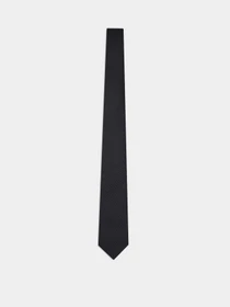 Галстуки и воротнички Emporio Armani модель EM001346-TE13720-UC001 Фото