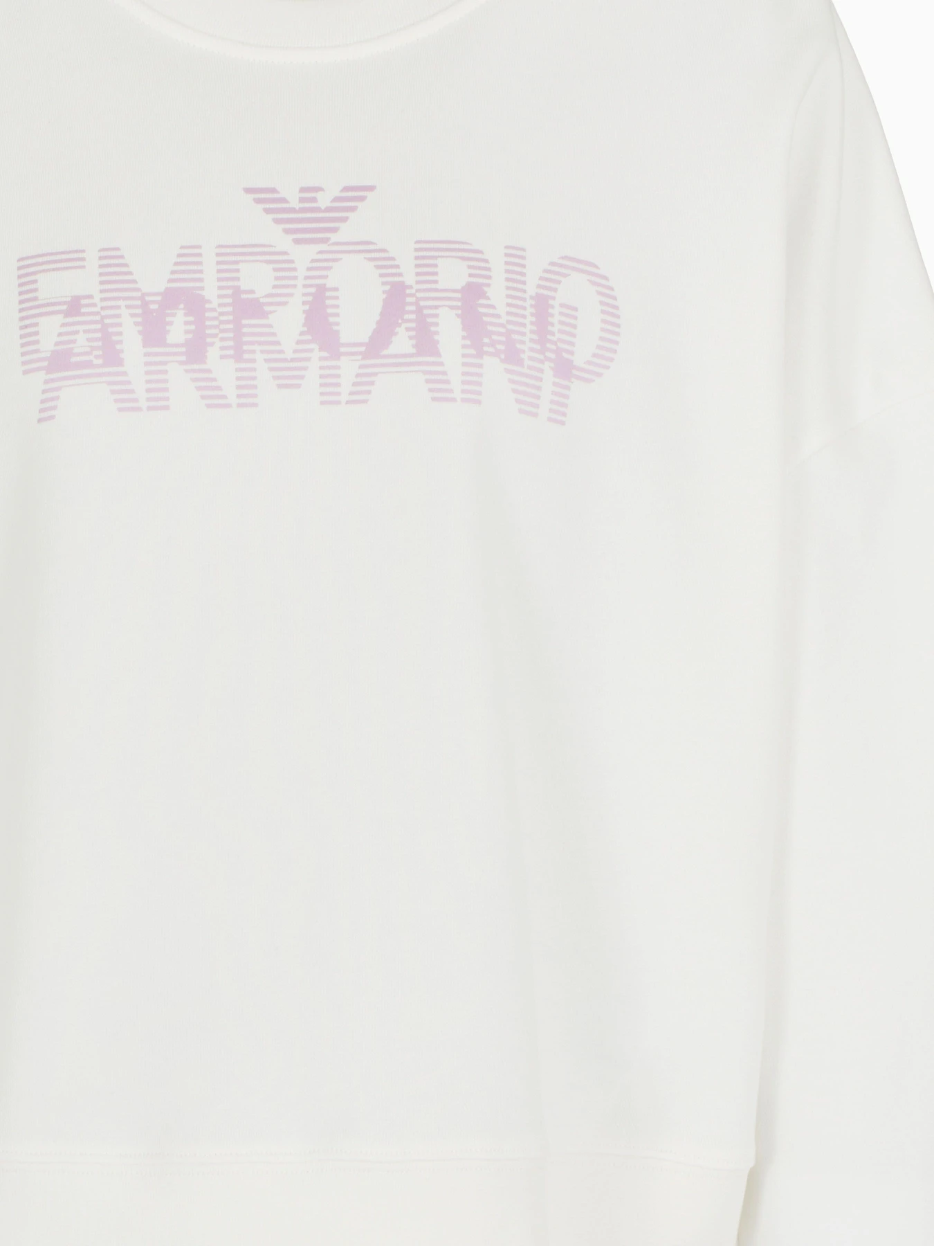 Худи и свитшоты Emporio Armani модель EW000890-AF12538-U0006 Худи и свитшоты Emporio Armani модель EW000890-AF12538-U0006 Фото