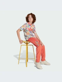 Брюки Adidas модель JC6680-KZ Фото