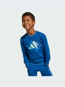 Костюмы Adidas модель JF3660-KZ Фото