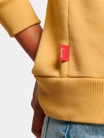 Худи и свитшоты Superdry модель W2011973A9VL Фото