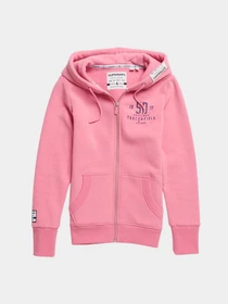 Худи и свитшоты Superdry модель W2000050AMZD Фото