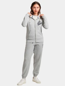 Худи и свитшоты Superdry модель W2011484A07Q Фото