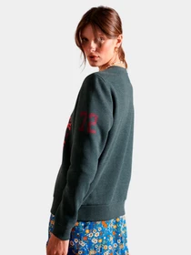 Худи и свитшоты Superdry модель W2011105AYMM Фото