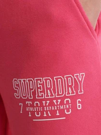Брюки Superdry модель W7010006AFNS Фото