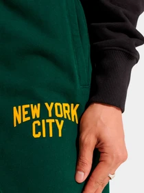Брюки Superdry модель M7010722A27E Фото