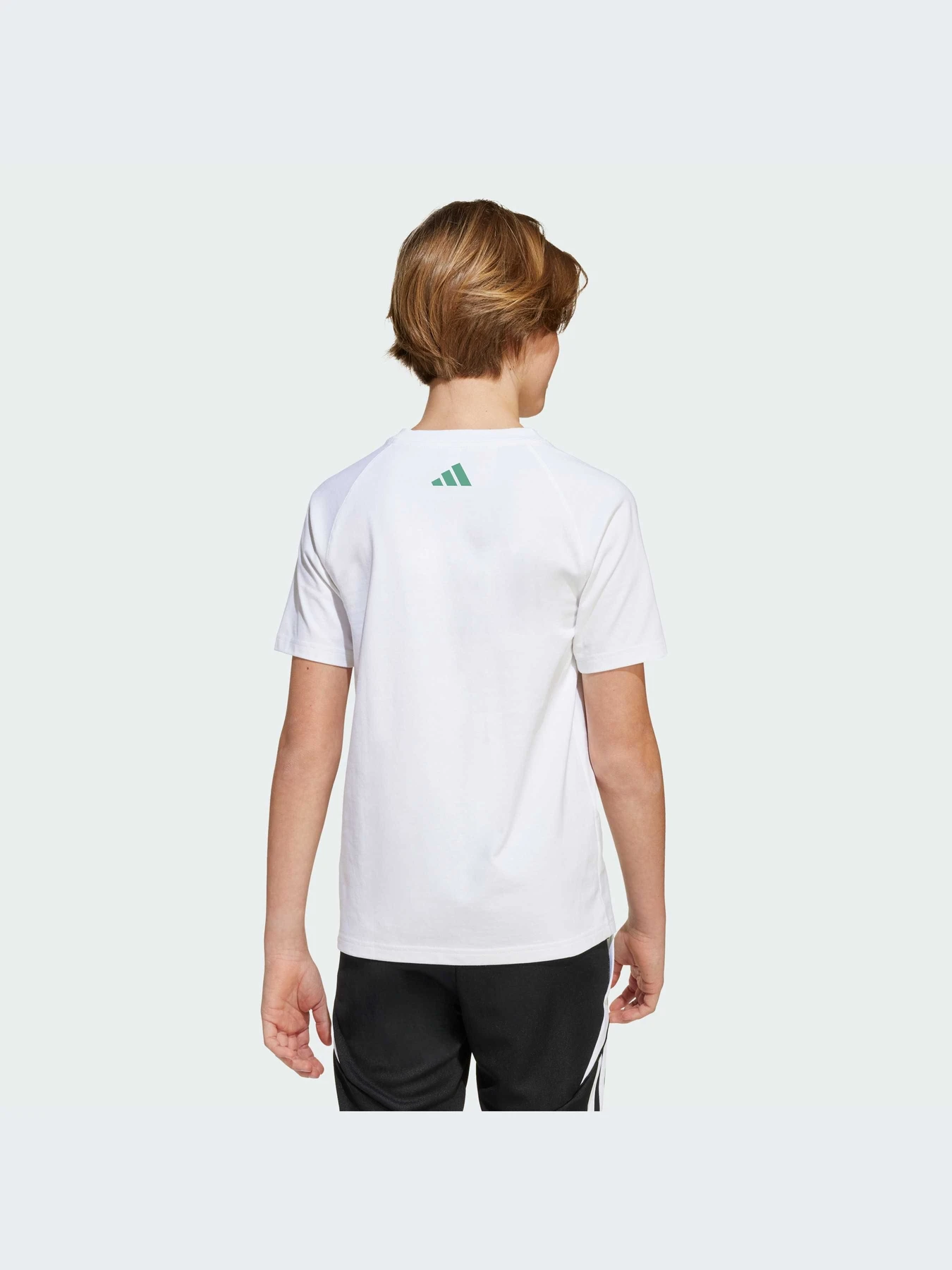 Футболки и поло Adidas Tiro модель KA3373-KZ Футболки и поло Adidas Tiro модель KA3373-KZ Фото