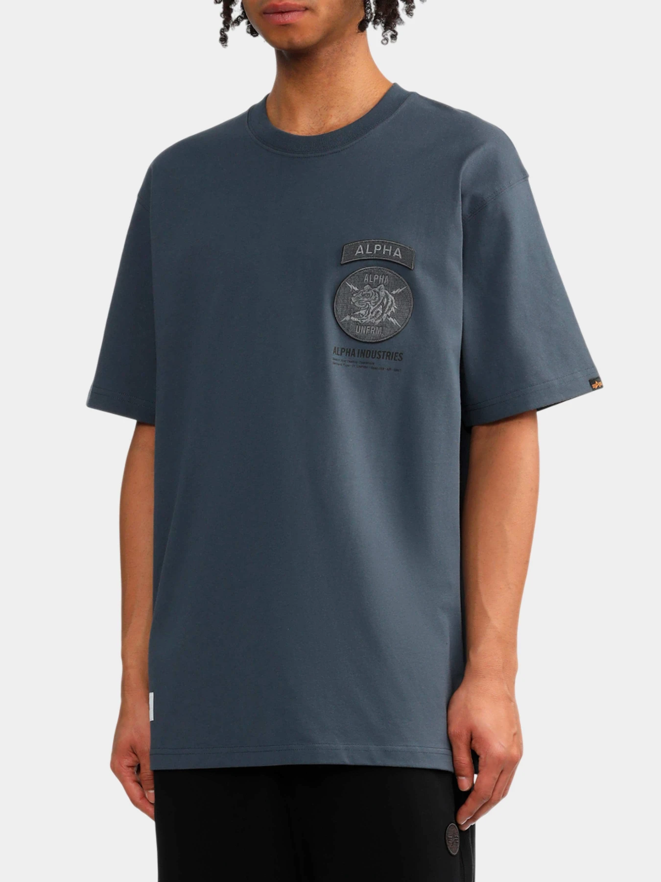 Футболки и поло Alpha Industries модель MTU55005C1_410 Футболки и поло Alpha Industries модель MTU55005C1_410 Фото