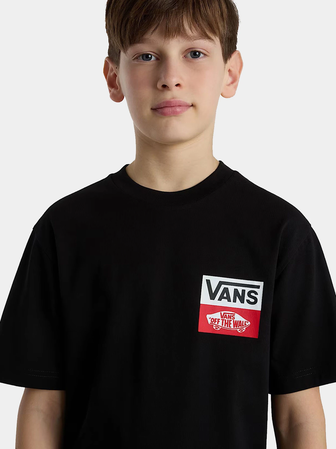 Футболки и поло Vans модель VN000GDGBLK1 Фото