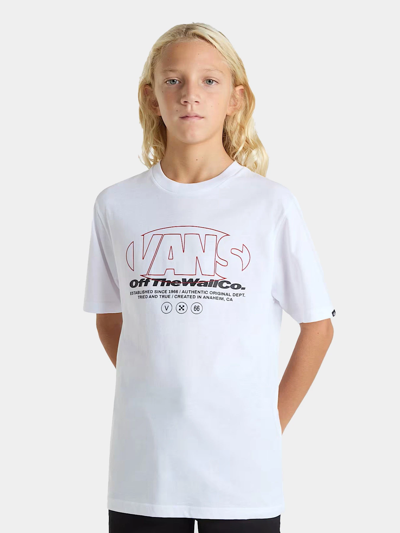 Футболки и поло Vans модель VN000MK5WHT1 Фото