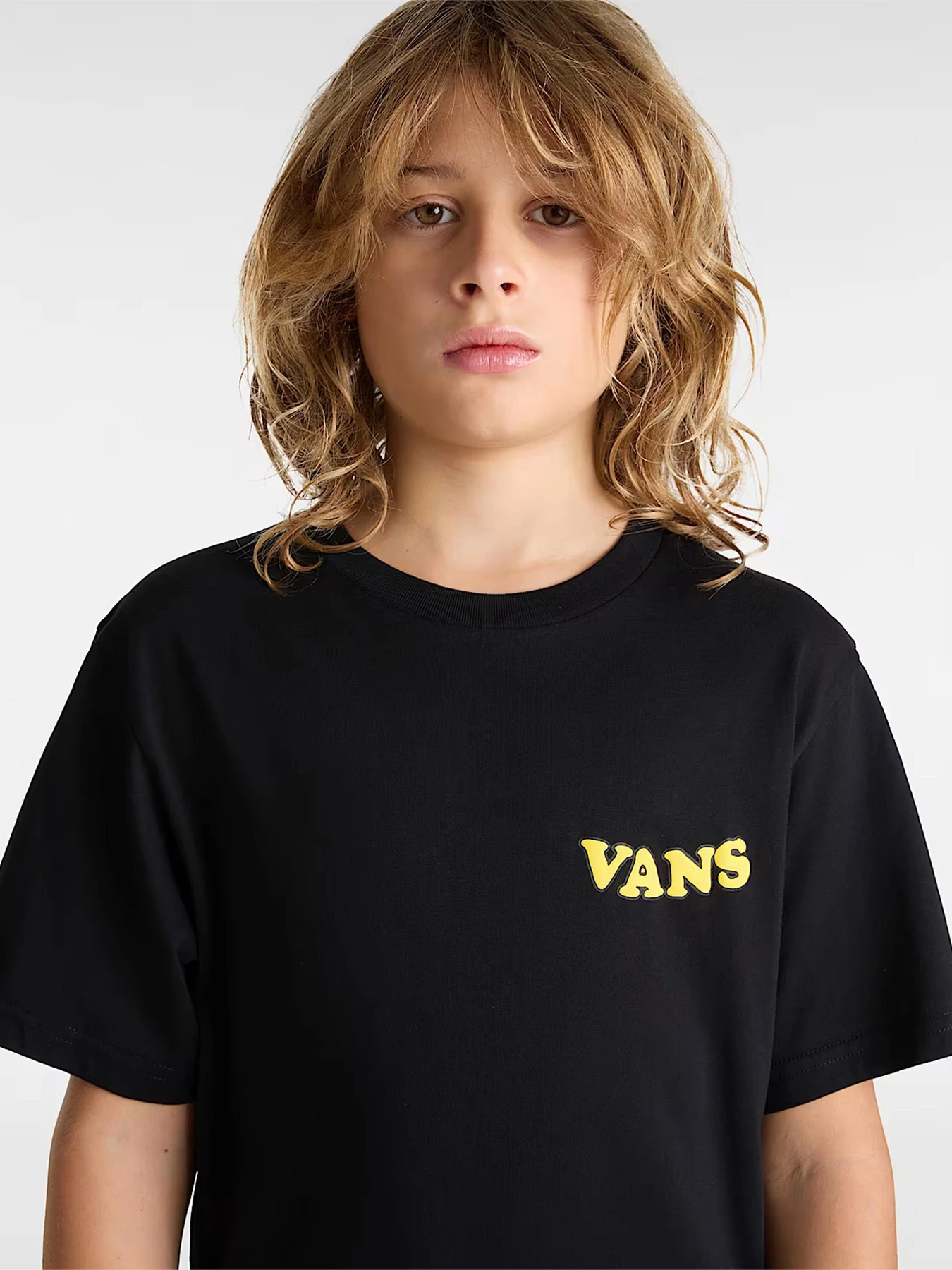 Футболки и поло Vans модель VN000NWQBLK1 Фото