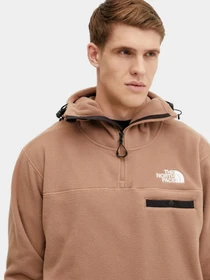 Худи и свитшоты The North Face модель NF0A8BJZ6IH1 Фото