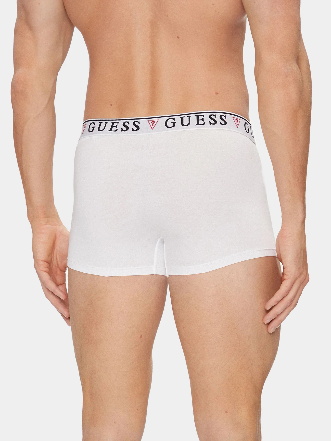 Нижнее белье GUESS модель U97G01-KCD31-A009 Фото