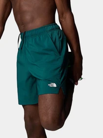 Шорты The North Face модель NF0A3O1B6GI1 Фото