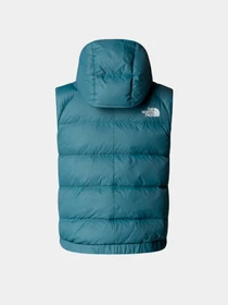 Куртки и дубленки The North Face модель NF0A7SXE4221 Фото