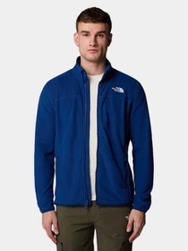 Худи и свитшоты The North Face модель NF0A855XD1R1 Фото