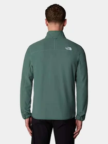 Худи и свитшоты The North Face модель NF0A855XHCH1 Фото