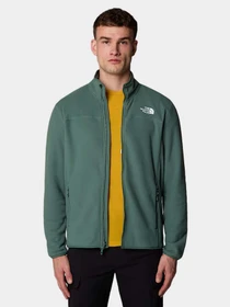 Худи и свитшоты The North Face модель NF0A855XHCH1 Фото