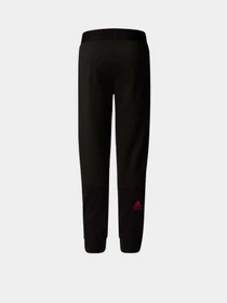 Брюки The North Face модель NF0A89HWKY41 Фото