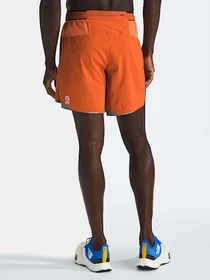 Шорты The North Face модель NF0A8BB55N51 Фото