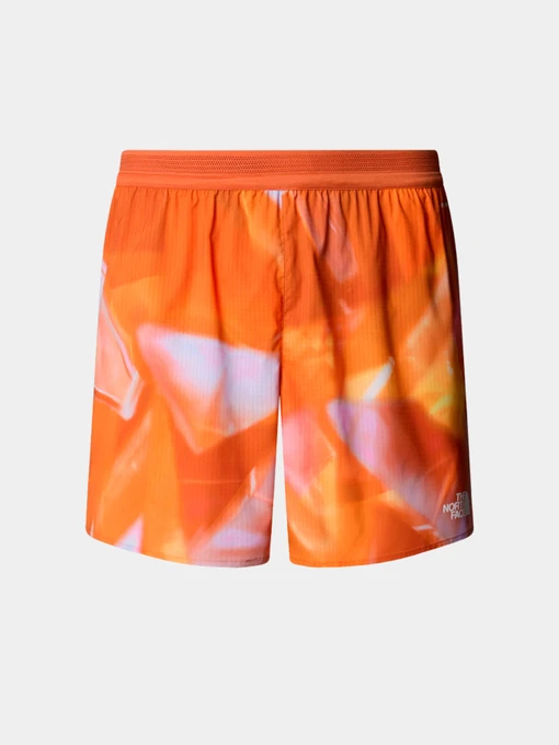 Шорты The North Face модель NF0A8BBU63K1 Фото