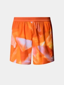 Шорты The North Face модель NF0A8BBU63K1 Фото