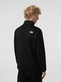 Худи и свитшоты The North Face модель NF0A8BFMJK31 Фото