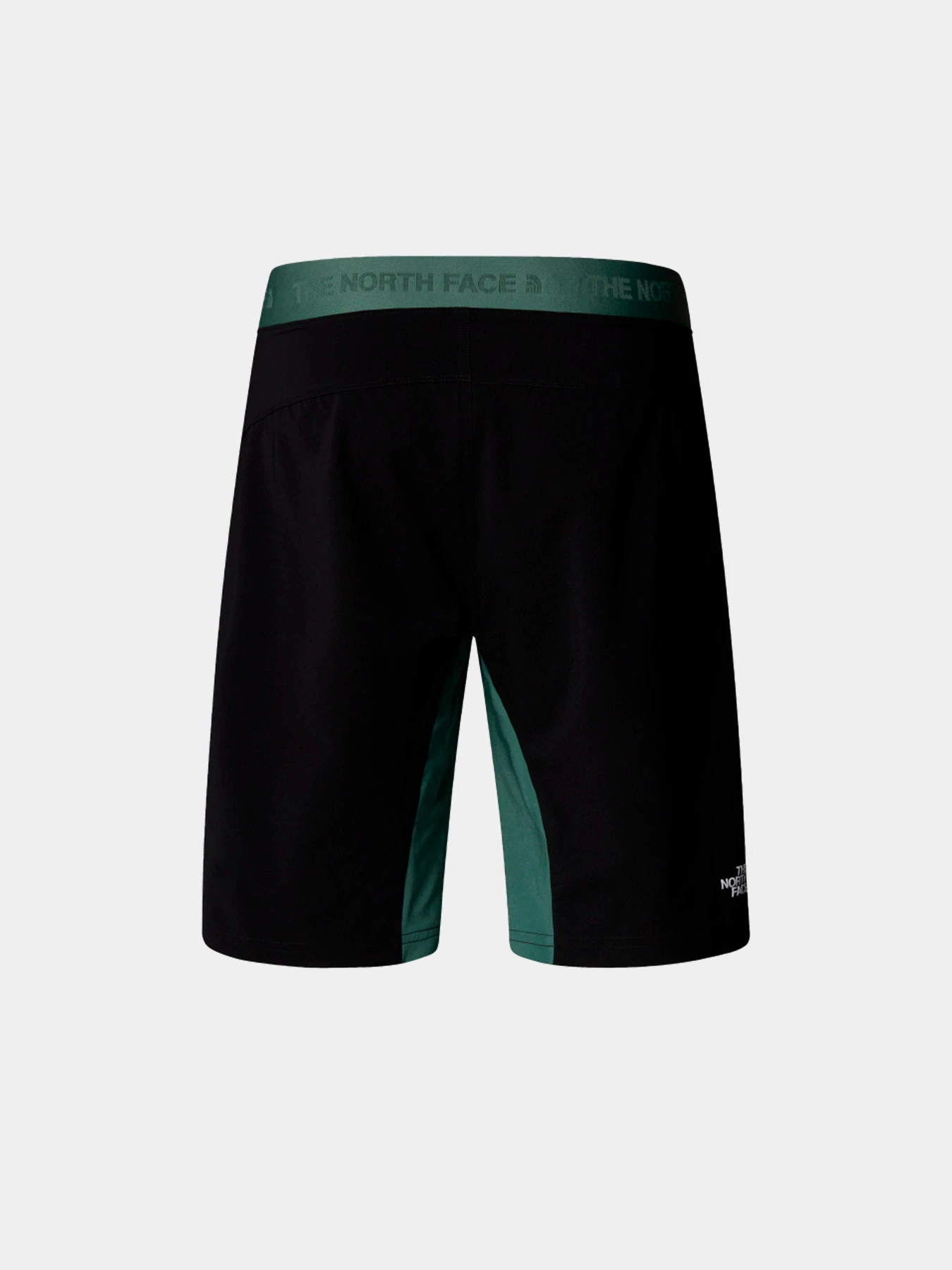 Шорты The North Face модель NF0A825XLFW1 Фото