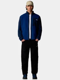 Худи и свитшоты The North Face модель NF0A883R8Z41 Фото