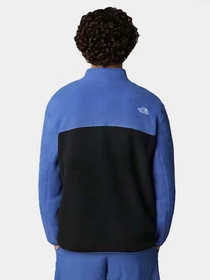 Худи и свитшоты The North Face модель NF0A883RA4B1 Фото