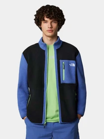 Худи и свитшоты The North Face модель NF0A883RA4B1 Фото