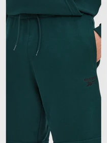 Шорты Reebok модель 102018000 Фото