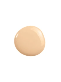 КОНСИЛЕР ЛЕГКИЙ NUDE & GOOD МАРКИ SHU №312 SHU модель 8,44E+12 Фото