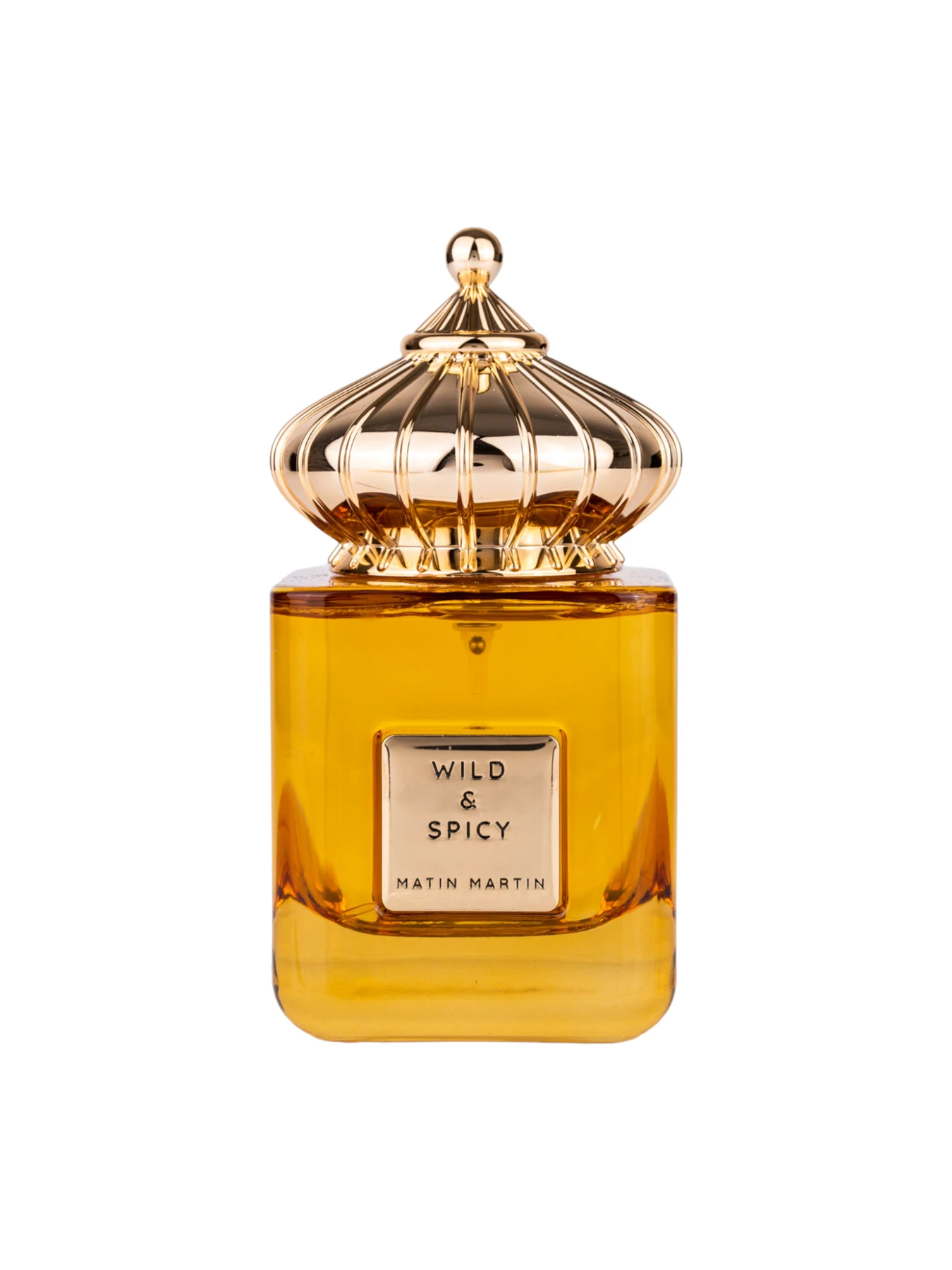 Парфюмерная вода WILD & SPICY 100мл MATIN MARTIN модель 6,29E+12 Парфюмерная вода WILD & SPICY 100мл MATIN MARTIN модель 6,29E+12 Фото