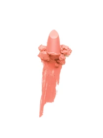 ПОМАДА ДЛЯ ГУБ МАТОВАЯ GONNA BE HOT МАРКИ SHU №406 светлый нюдовый SHU модель 8,44E+12 Фото