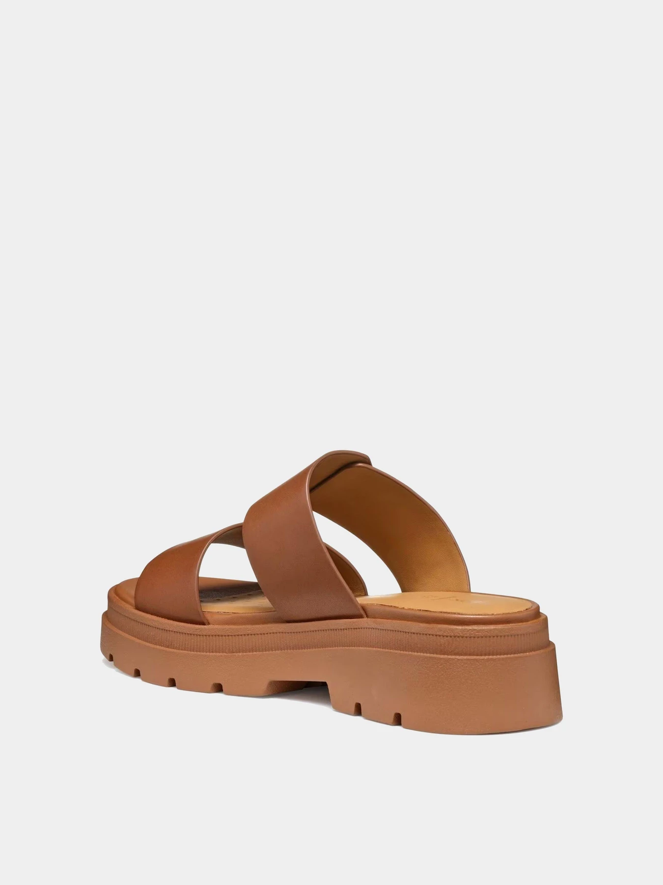 Шлёпанцы Geox модель D55YVA-00043-C0013 Фото