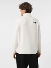 Худи и свитшоты The North Face модель NF0A855W4HP1 Фото