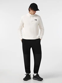 Худи и свитшоты The North Face модель NF0A855W4HP1 Фото