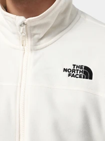 Худи и свитшоты The North Face модель NF0A855XQLI1 Фото